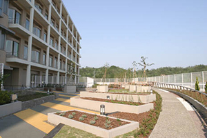 豊岡病院 3F 庭園